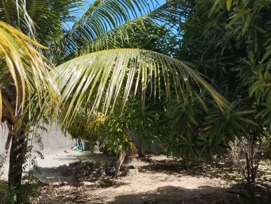 Casa com 1 Quarto à venda, 42m² no Zona de Expansão (Mosqueiro), Aracaju