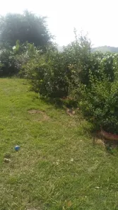 Fazenda/Sítio com 2 Quartos à venda, 200m² no Estância Porto Velho, Jacareí