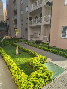 Apartamento com 2 Quartos para alugar, 54m² no Jardim do Lago Continuação, Campinas