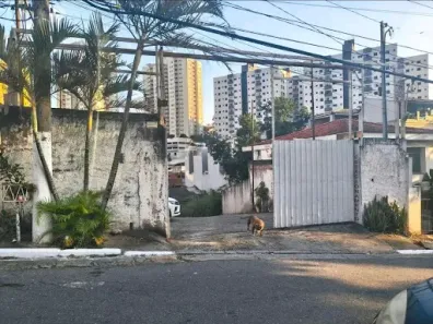 Lote/Terreno à venda, 653m² no Conjunto Residencial Santa Terezinha, São Paulo