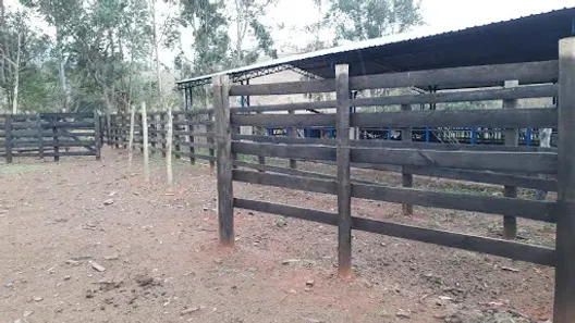 Fazenda/Sítio com 4 Quartos à venda, 2000m² no Morro do Demétrio, Miracema
