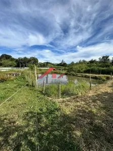 Fazenda/Sítio com 3 Quartos à venda, 10m² no , Turvolândia