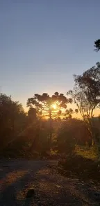 Fazenda/Sítio à venda, 20000m² no , Urubici