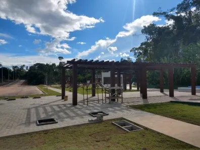 Lote/Terreno com 1 Quarto à venda, 250m² no Ponta Negra, Manaus