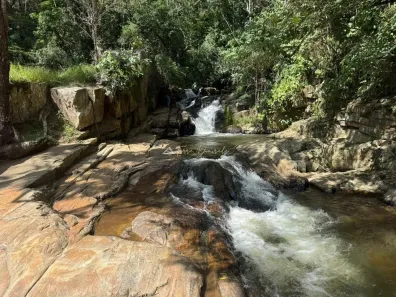 Fazenda/Sítio à venda, 570000m² no , São Bento do Sapucaí