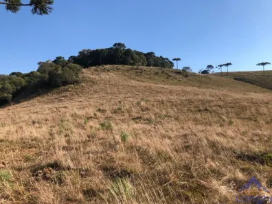 Fazenda/Sítio com 1 Quarto à venda, 20000m² no Criúva, Caxias do Sul