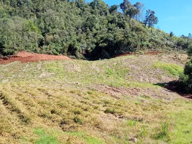 Fazenda/Sítio à venda, 20000m² no , Angelina