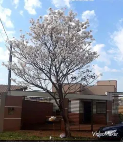Casa com 3 Quartos à venda, 90m² no Andes, Londrina