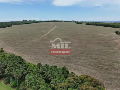 Fazenda/Sítio à venda, 500m² no , Morrinhos