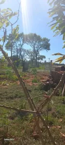 Fazenda/Sítio à venda, 48000m² no Centro, Presidente Prudente