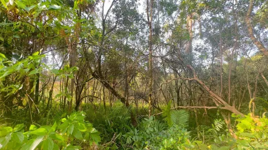 Lote/Terreno à venda, 310000m² no Monte Alverne, Santa Cruz do Sul