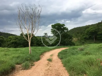 Fazenda/Sítio com 5 Quartos à venda, 448m² no Centro, Formosa