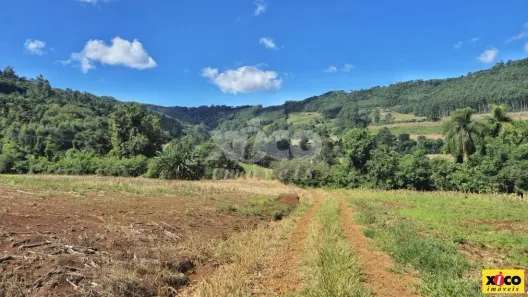 Fazenda/Sítio com 1 Quarto à venda, 104749m² no Pinhal Alto, Nova Petrópolis