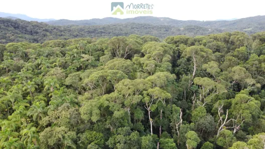 Lote/Terreno à venda, 10000m² no Morro Alto, Morretes