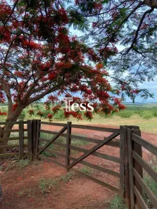 Fazenda/Sítio à venda, 15600m² no , Palmeira d'Oeste