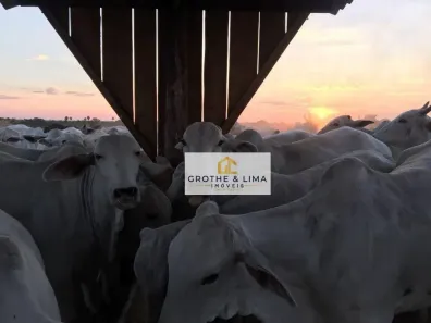 Fazenda/Sítio com 20 Quartos à venda, 500m² no Vila Luizão, São Luís