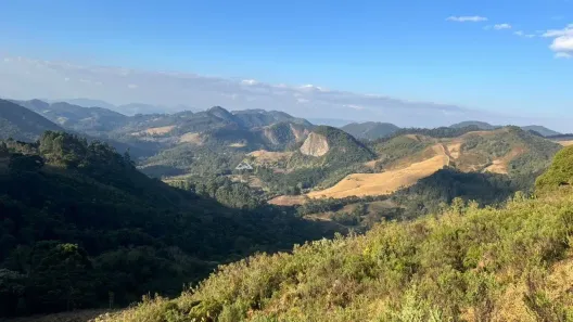 Lote/Terreno à venda, 72600m² no , Gonçalves