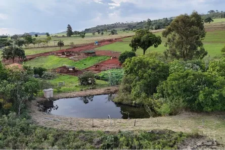 com 5 Quartos à venda, 108000m² no Residencial Primo Cippiciani, Cajuru