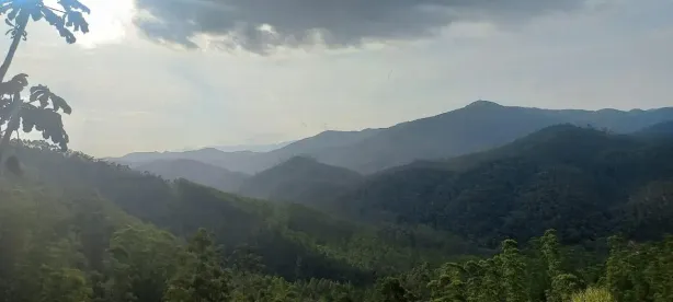 Fazenda/Sítio à venda, 8410000m² no , Monteiro Lobato