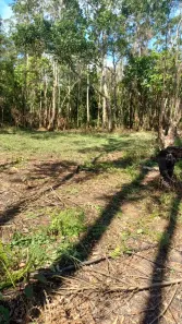 Fazenda/Sítio à venda, 20000m² no Taiaçupeba, Mogi das Cruzes