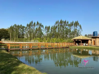 Lote/Terreno à venda, 21500m² no Área Rural de Santa Cruz da Conceição, Santa Cruz da Conceição