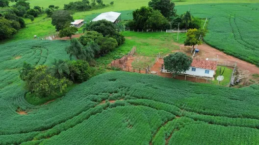 Fazenda/Sítio com 2 Quartos à venda, 145200m² no , Cezarina