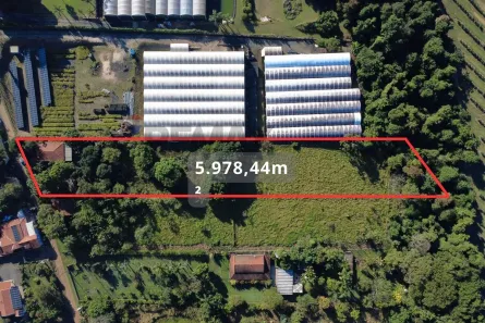 Fazenda/Sítio com 1 Quarto à venda, 5978m² no Área Rural de Holambra, Holambra