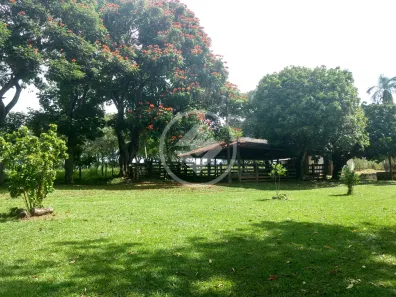 Fazenda/Sítio à venda, 376392m² no , Caturaí