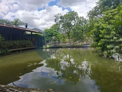 Fazenda/Sítio com 3 Quartos à venda, 2000m² no , Santo Amaro da Imperatriz