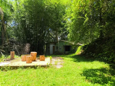 Fazenda/Sítio com 2 Quartos à venda, 40m² no Bateias, Campo Largo