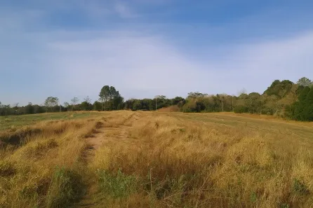 Lote/Terreno à venda, 500m² no Nhambuca ( Caucaia do Alto), Cotia