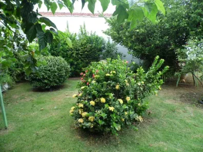 Casa com 1 Quarto à venda, 65m² no Vila Rezende, Piracicaba