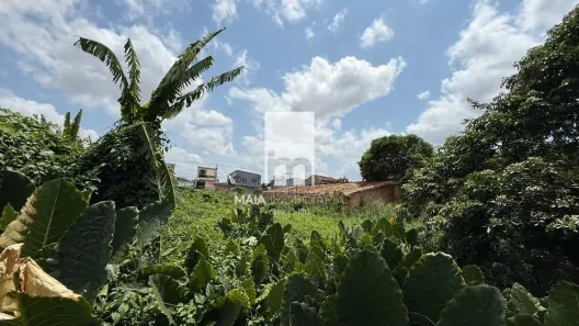 Lote/Terreno à venda, 1441m² no Sacramenta, Belém