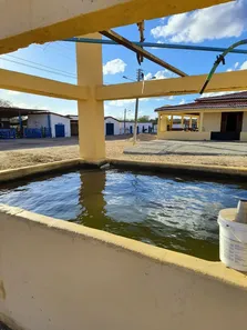 Fazenda/Sítio com 5 Quartos à venda, 1500000m² no , Tangará
