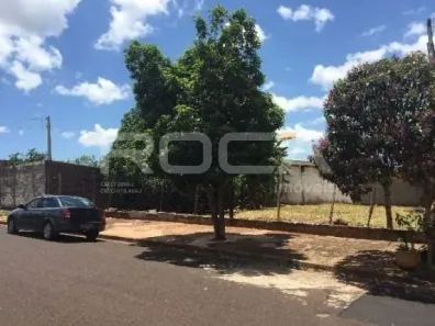 Lote/Terreno à venda, 125m² no Jardim Zara, Ribeirão Preto