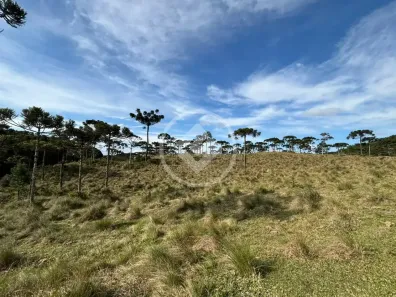 Fazenda/Sítio à venda, 100000m² no , Rancho Queimado