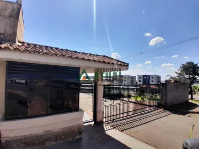 Apartamento com 2 Quartos à venda, 48m² no São Pedro, Londrina