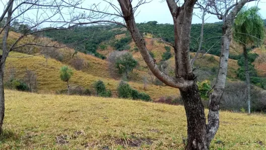 Fazenda/Sítio com 2 Quartos à venda, 28m² no , Guaraíta