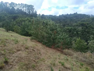 Lote/Terreno à venda, 1100m² no Alto da Boa Vista, Campos do Jordão
