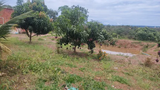 Lote/Terreno à venda, 2500m² no Área Rural de Santo Antônio do Descoberto, Santo Antônio do Descoberto