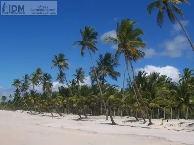 Lote/Terreno à venda, 400000m² no Conquista, Ilhéus