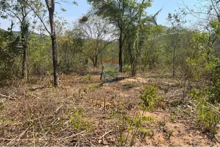Fazenda/Sítio com 1 Quarto à venda, 1200m² no Área Rural de Rondonópolis, Rondonópolis