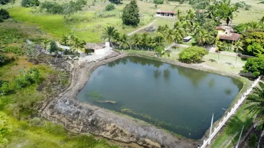 Fazenda/Sítio com 4 Quartos à venda, 800000m² no , Goianinha