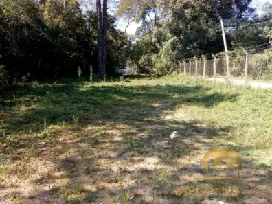 Lote/Terreno à venda, 1242m² no Pirucaia, Mairiporã