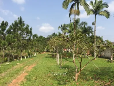 Lote/Terreno à venda, 96000m² no Jardim Samambaia, Paranaguá