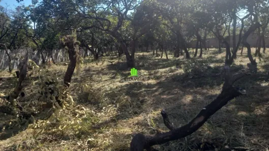 Lote/Terreno à venda, 1800m² no Recanto da Lagoa, Lagoa Santa