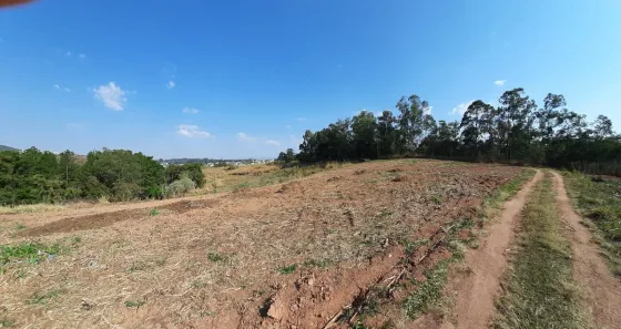 Lote/Terreno à venda, 44624m² no Rainha, Louveira