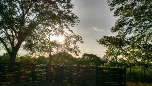 Fazenda/Sítio com 4 Quartos à venda, 6150000m² no Centro, Urucuia