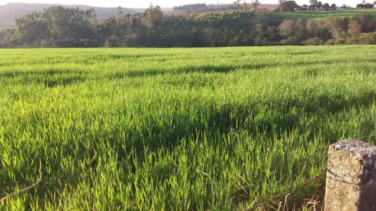 Fazenda/Sítio com 3 Quartos à venda, 70m² no Área Rural de Itapetininga, Itapetininga
