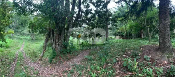 Lote/Terreno à venda, 33000m² no Praia do Estaleiro, Balneário Camboriú